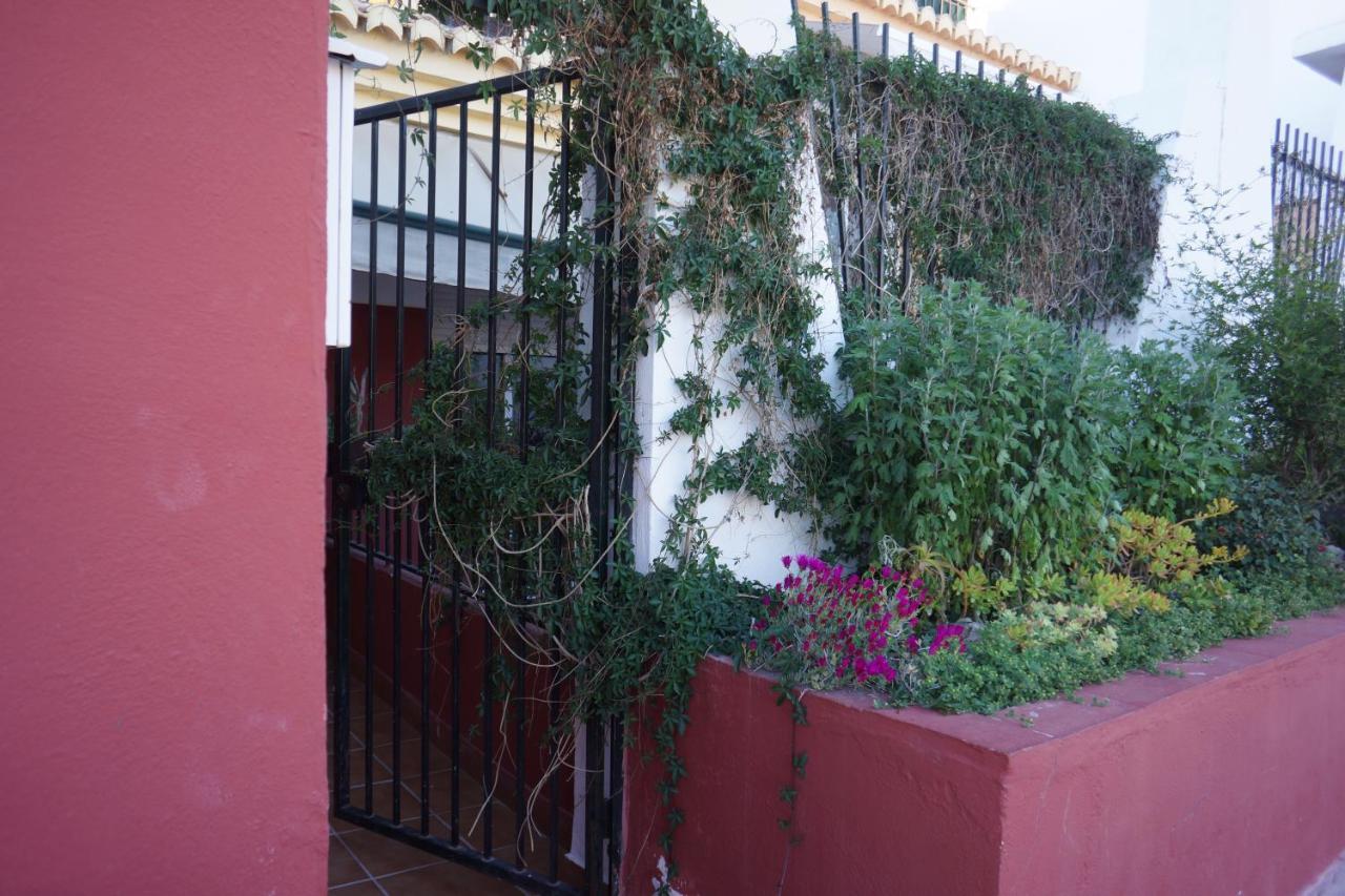 Cute And Relaxing Bed And Breakfast En Albayzin Granada Exterior foto